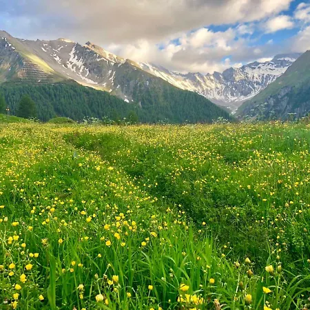 Hotel Relais & Chateaux Chasa Montana 5*